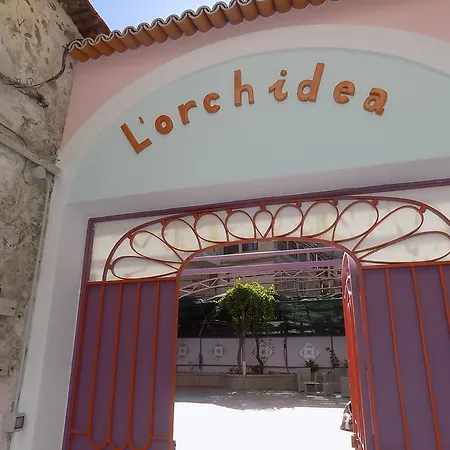 Dimora L'orchidea *